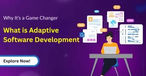 Adaptive Software Development
