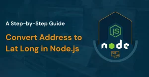 Convert Address to Lat Long in Node.js