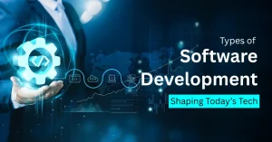 Types of Software Development