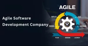Agile Software Development Company