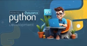 Outsource Python Development