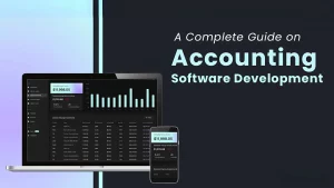 Accounting software development