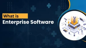 What is enterprise software?