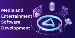 Media and entertainment software development