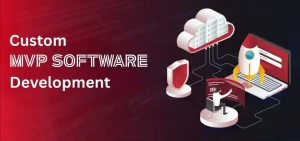 Custom MVP software development