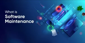 what is software maintenance