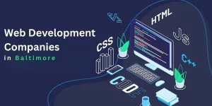 Web development baltimore