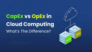 capex vs opex software development​