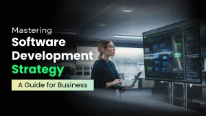 software developmet strategy