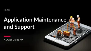 Application Maintenance and support