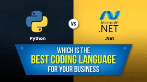 python vs dotnet which is better
